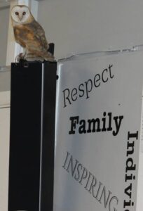 A Wise Owl Supporting Lyndhurst Values