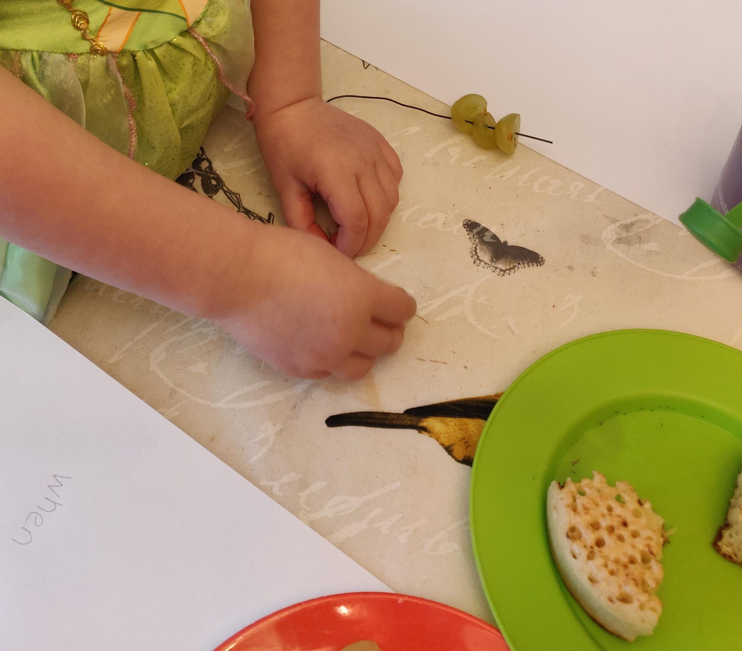 Creating a bird feeder