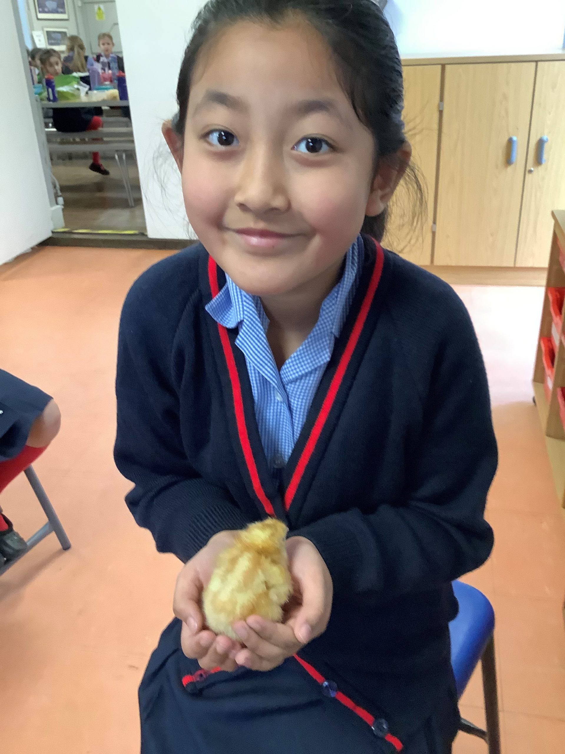 Holding the chicks