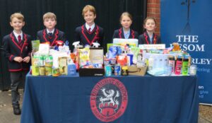 Our donations to Besom