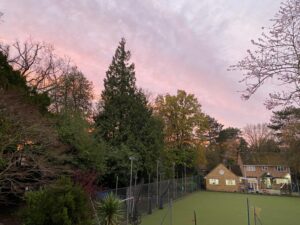 Pinks and purples overhead