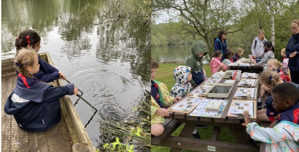 Pond Dipping with Nets