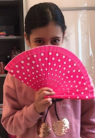 Powerful Fan