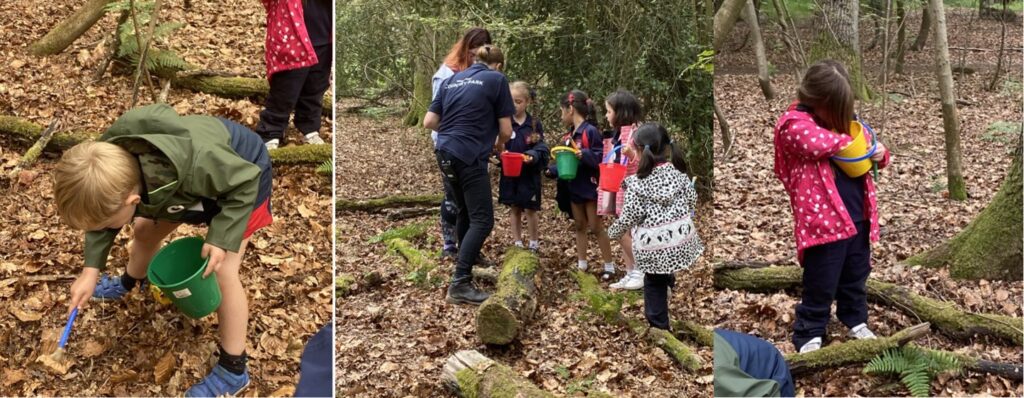 Reception Hunting for Living Creatures in the Woodlands