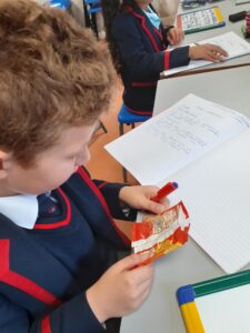 STEM examining what is in food