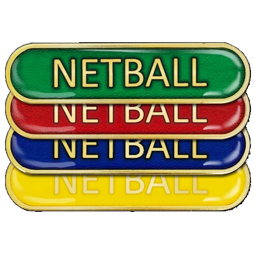 Virtual netball