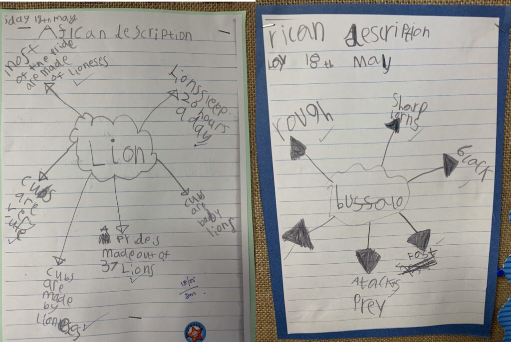 Year 1 Describing the Big Five African Animals