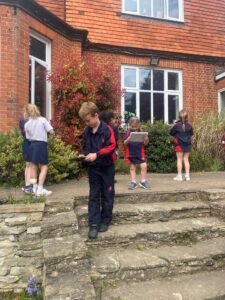Year 2 Capturing Spring Flowers on Camera