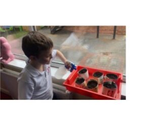 Year 2 hoping their sunflowers will sprout soon