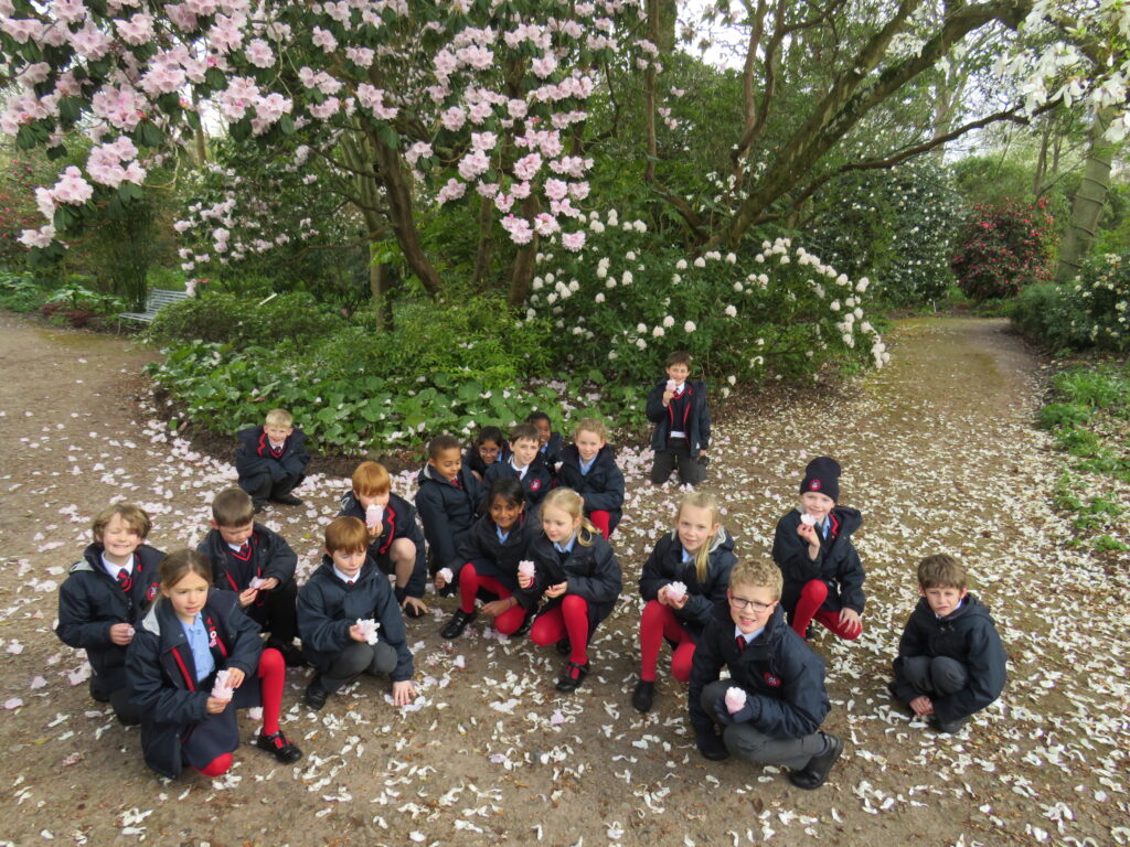 Year 3 Amongst the Blossom