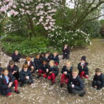 Year 3 Amongst the Blossom