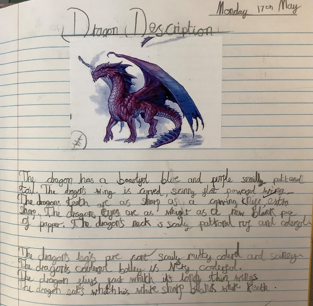 Year 3 Dragon Description