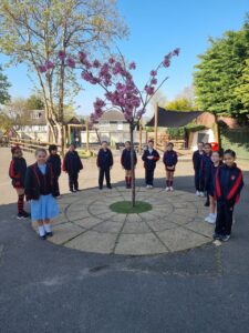 Year 4 Ready for Summer Term