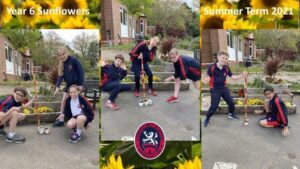 Year 6 are very excited about watching their flowers grow